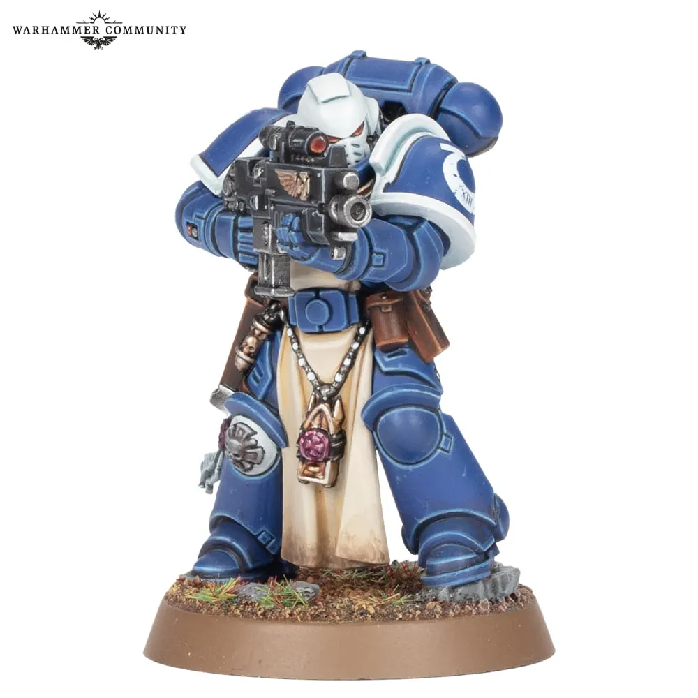 Sternguard Veteran miniature
